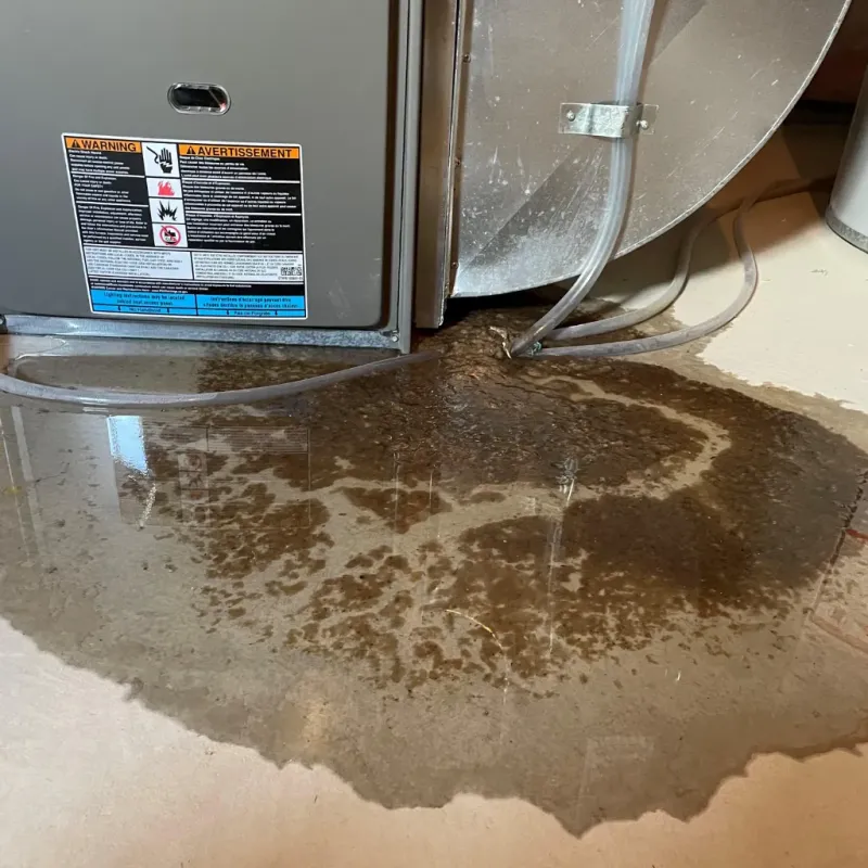 Appliance Leak Cleanup in Clay, AL